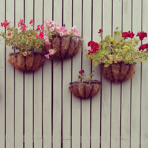 hanging plants are sexy.. ;) #homedecor #garden on wall #TheGroundsofAlexandria #TheGrounds @paulatheexplorer