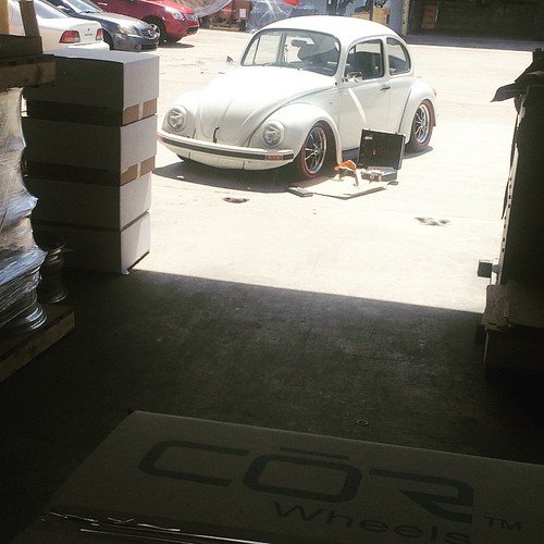 Fitting a 1998, yes 1998 mexican Beetle for a wicked COR Treatment! Coming soon! @squidy_squid #corwheels #classic #beetle #bug #vw #vwlifestyle #miami #sexy #ridinhood #wemakewheels #wheels #wickedfitments #cars