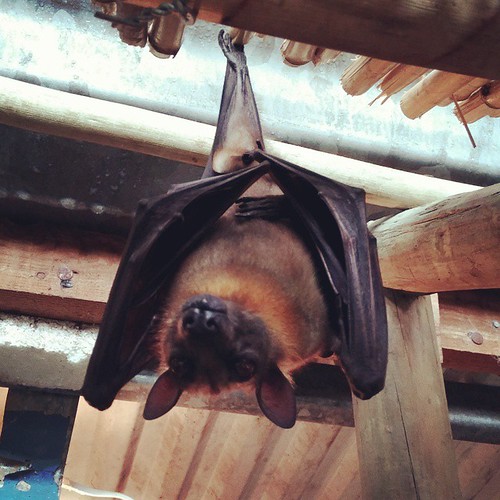 My selfie from Butterfly World. #sexy #butterflyworld